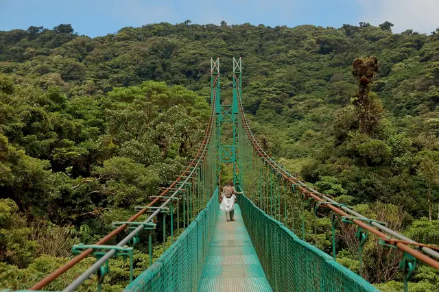 Puente colgante sobre el bosque nuboso de Monteverde